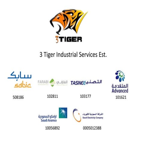 3 Tiger - INTRODUCTION | PPTX