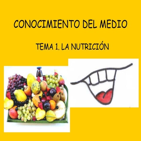 nutrición