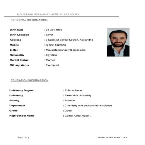 Moustafa El-Kashouty CV | PDF