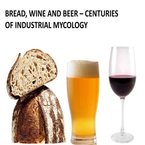F15 Industrial Mycology