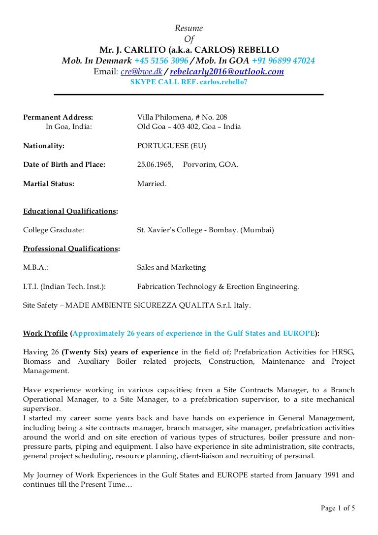 Curriculum vitae format in word image