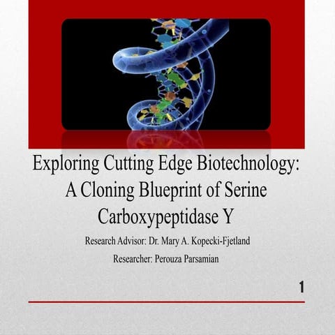 Preparatiion of competent cells & Transformation Practical | DOCX