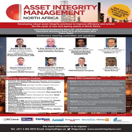 Asset Integrity Management | PDF
