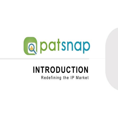Patsnap Overview | PPT