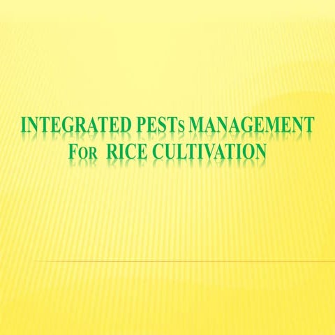 ROLE  OF  INTEGRATED PESTS MANAGEMENT  IN  RICE CULTIVATION