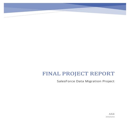 AA4_finalReport