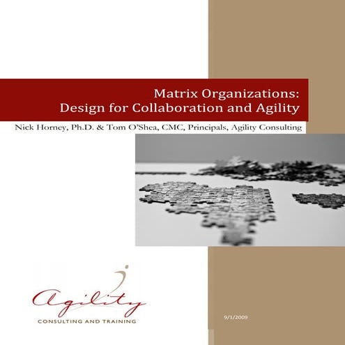 Agility Consulting -- Matrix Organizations