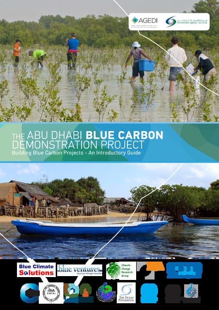 building_blue_carbon_projects FD