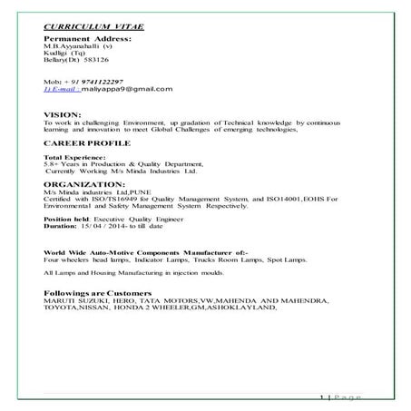 Updated CV | DOC