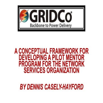 SNS Mentor Program Framework-final