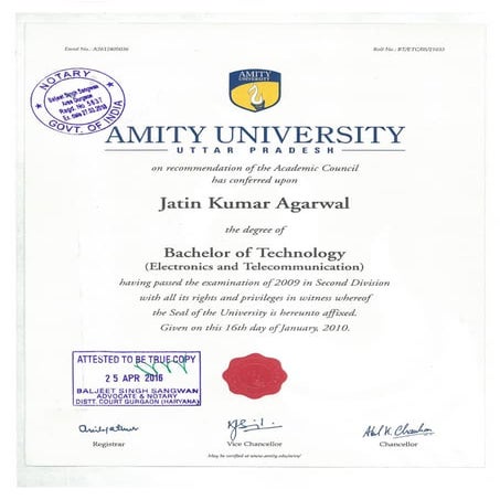 Bachelor Degree and transcripts