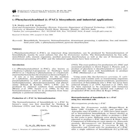 WMB1 | PDF
