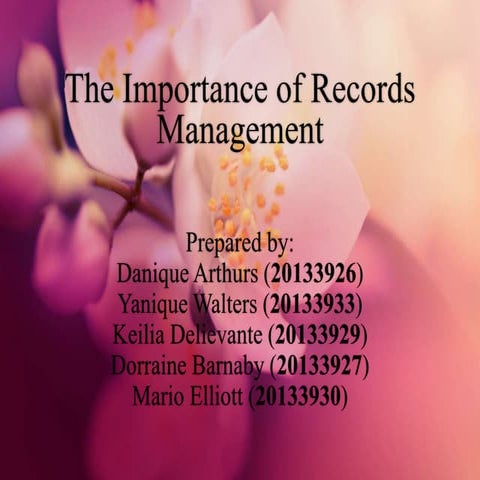 The Importance of Records Management