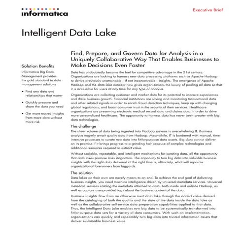 intelligent-data-lake_executive-brief