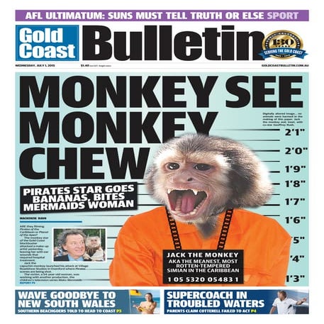 Monkey | PDF