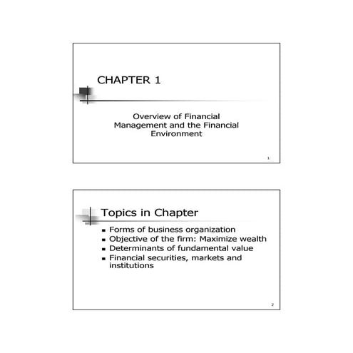  ch 01; overview and fin environment