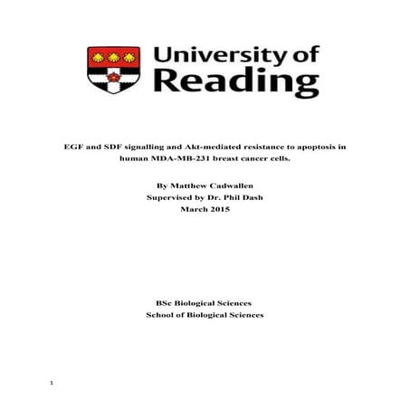 Dissertation Final Copy
