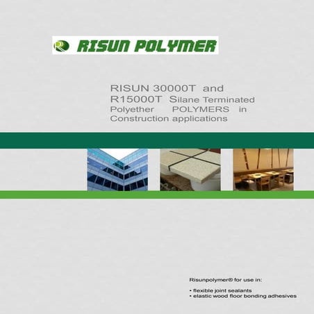 RISUN Brochure-T Serial for Construction Application | PDF