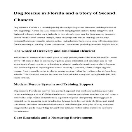 Dog Rescue in Florida and a Story of Second Chances | PDF