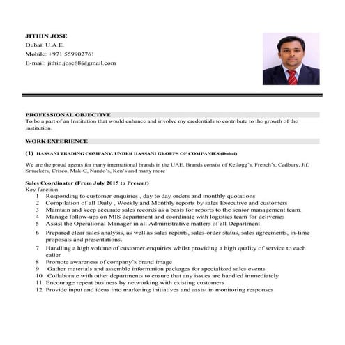 Rafi Hamdani CV | PDF