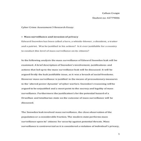 Final Copy Cyber Crime Research Essay
