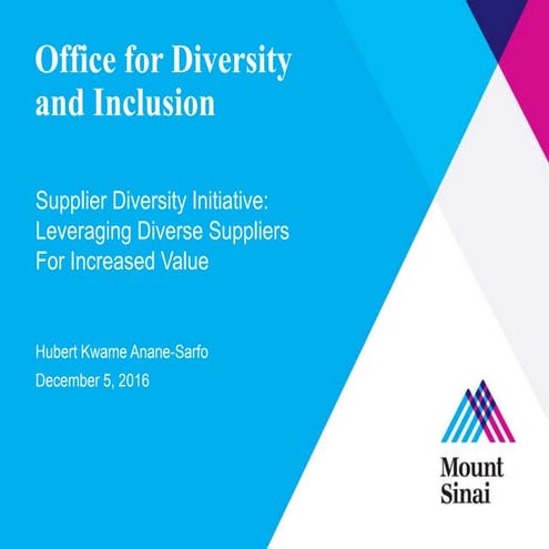 Supplier Diversity Initiative Final