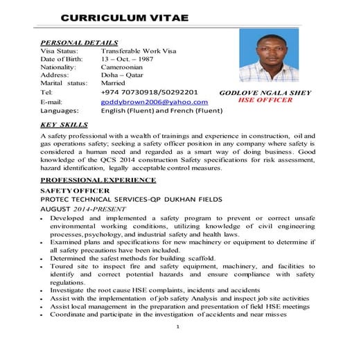 UPDATED CV HSE