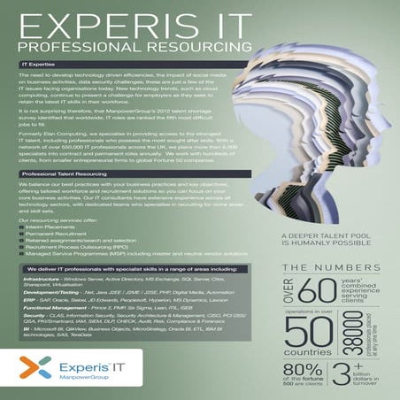 IT Vertical Overview