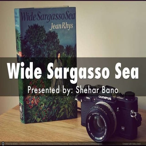 Wide-Sargasso-Sea