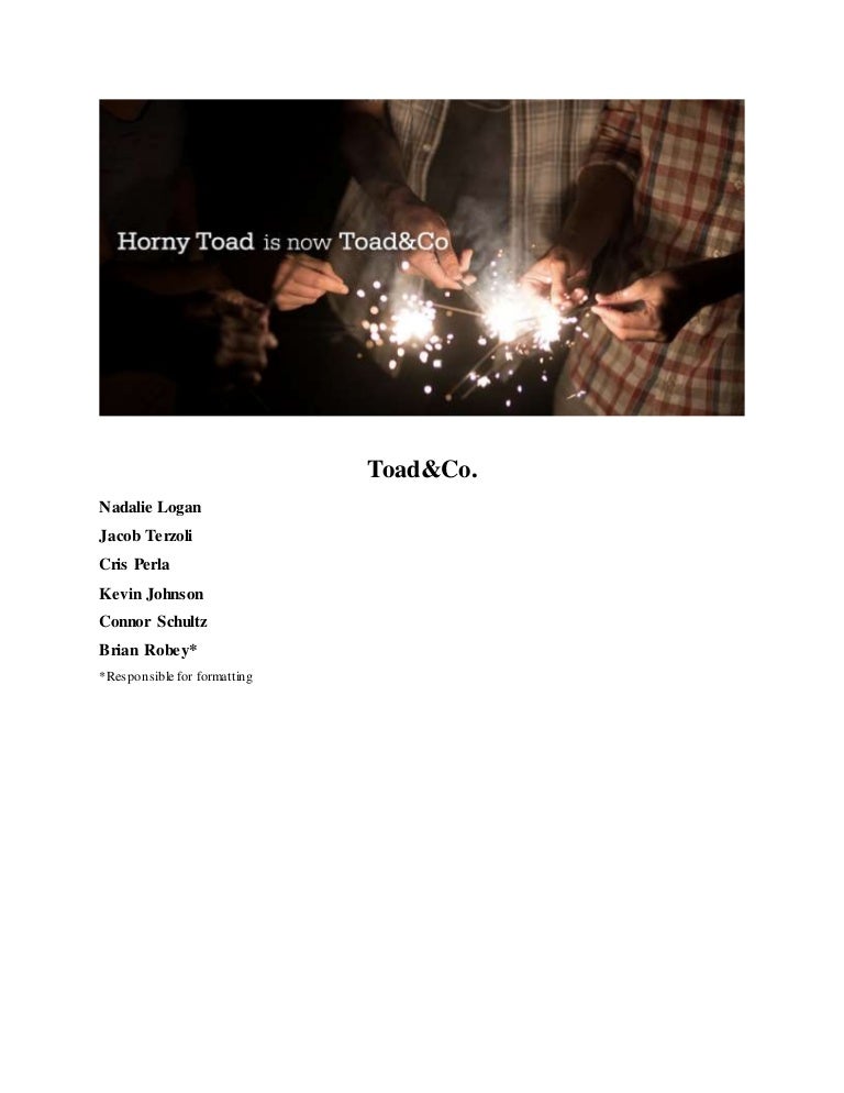 Volcom swot essay 07 image