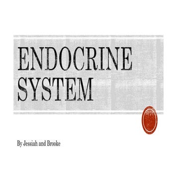 Human Body - Endocrine System