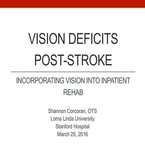 Vision Deficits Post-Stroke In-Service
