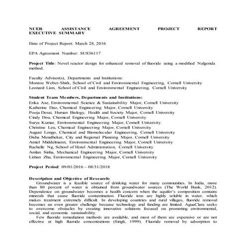 Fluoride Executive Summary