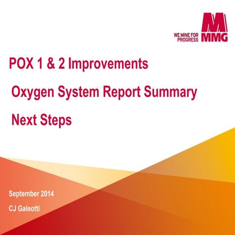 POX O2 Spargers- Report Summary2 Next STEP | PDF