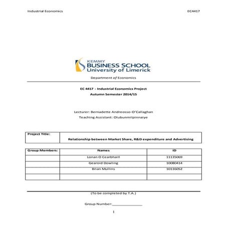 EC4417 Econometrics Project