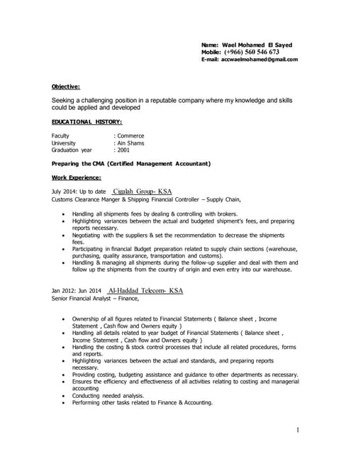 badmus current cv | PDF