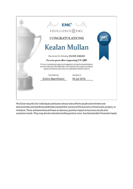 Silver Award PDF