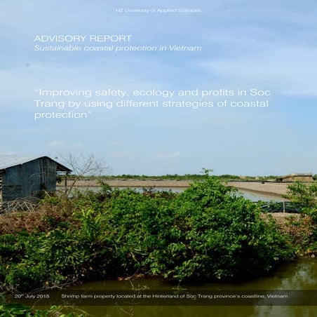 Advisory Report_Sustainable Coastal Protection in Vietnam.compressed | PDF