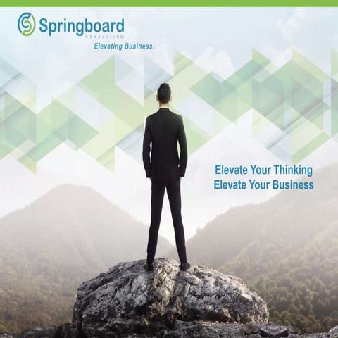 Springboard Consulting Overview