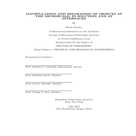 Final Thesis Harsh Pandey