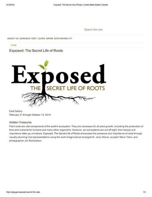 Exposed_ The Secret Life of Roots _ United States Botanic Garden