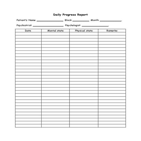 Daily Progress Report | PDF
