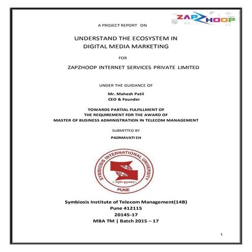 Digital Marketing Project at Zapzhoop