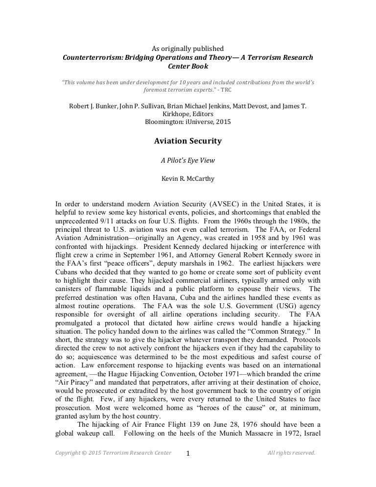 Aviation security essays 07 image