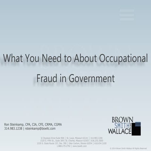 What You Need to Know About Occupational Fraud in Government - 2014