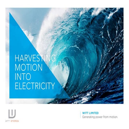 Witt Limited Business Plan