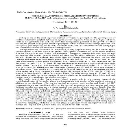 Effect of BA, IBA and cutting type on transplants production from cuttings