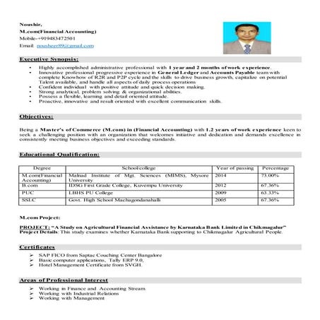 Noushir CV  Accountant