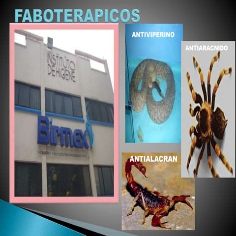 Faboterapicos