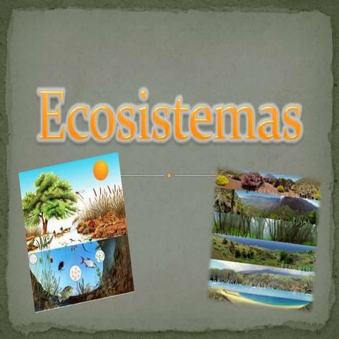 CLASIFICACIÓN DE LOS ECOSISTEMAS | PPTX
